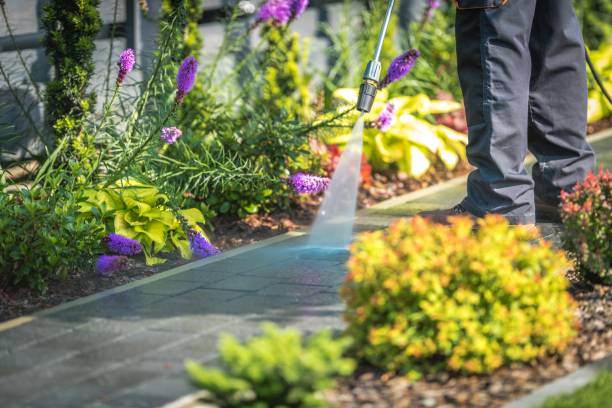 Best Gutter Cleaning  in East Lake, FL